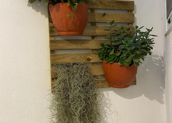 Urban 44 Ponta Delgada