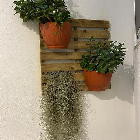 Urban 44 Понта-Делгада